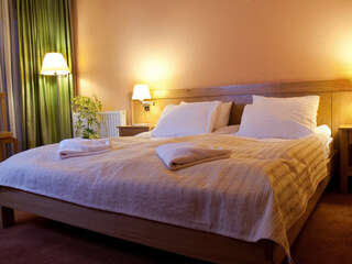 Отель Hotel - Restaurant Gonduzo Одорхею-Секуеск Стандартный двухместный номер с 1 кроватью или 2 отдельными кроватями-5