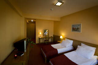 Отель Hotel - Restaurant Gonduzo Одорхею-Секуеск Двухместный номер «Премиум» с 1 кроватью или 2 отдельными кроватями-8