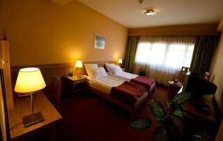 Отель Hotel - Restaurant Gonduzo Одорхею-Секуеск Стандартный двухместный номер с 1 кроватью или 2 отдельными кроватями-10